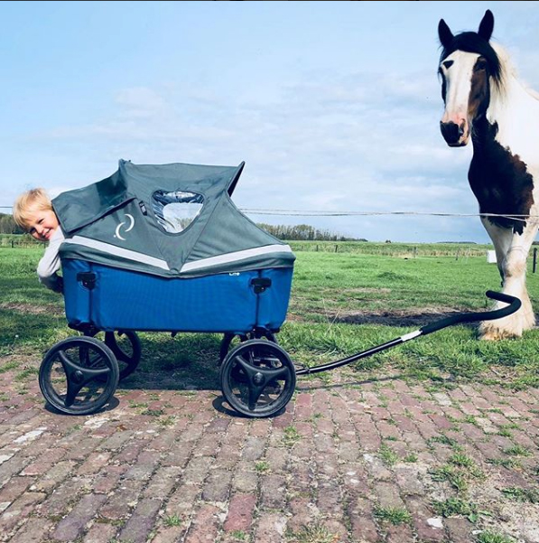 Wandelen met de Beach Wagon