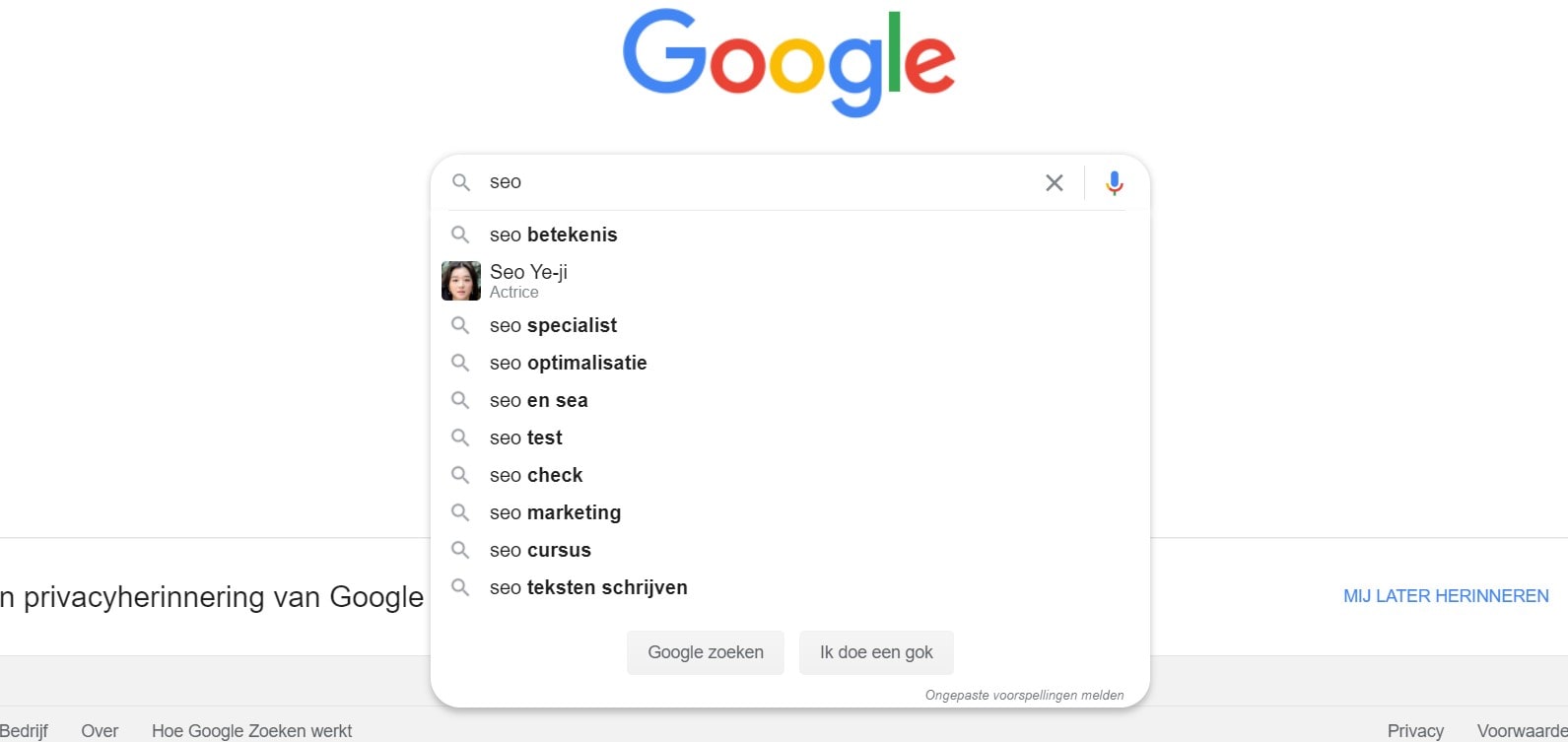 google zoekopdracht