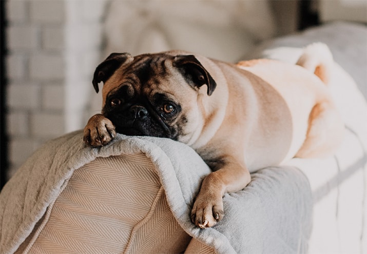 welk social media kanaal past bij mij